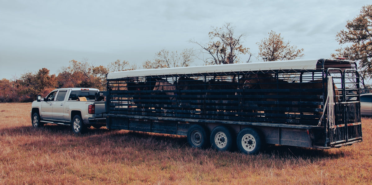 Best TPMS for Tandem Dually Trailers 2026 (Buyer's Guide)